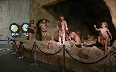 MUZEJ KRAPINSKIH NEANDERTALCEV